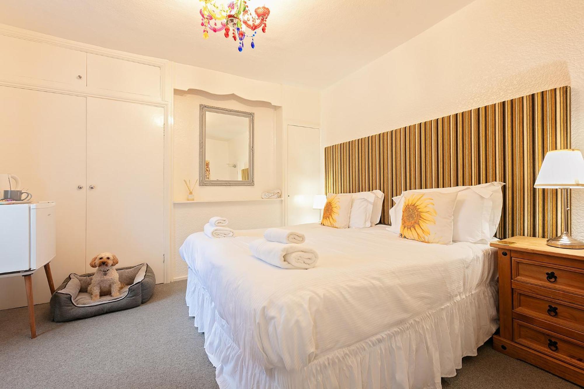 The Sun Rooms Alnmouth Room photo