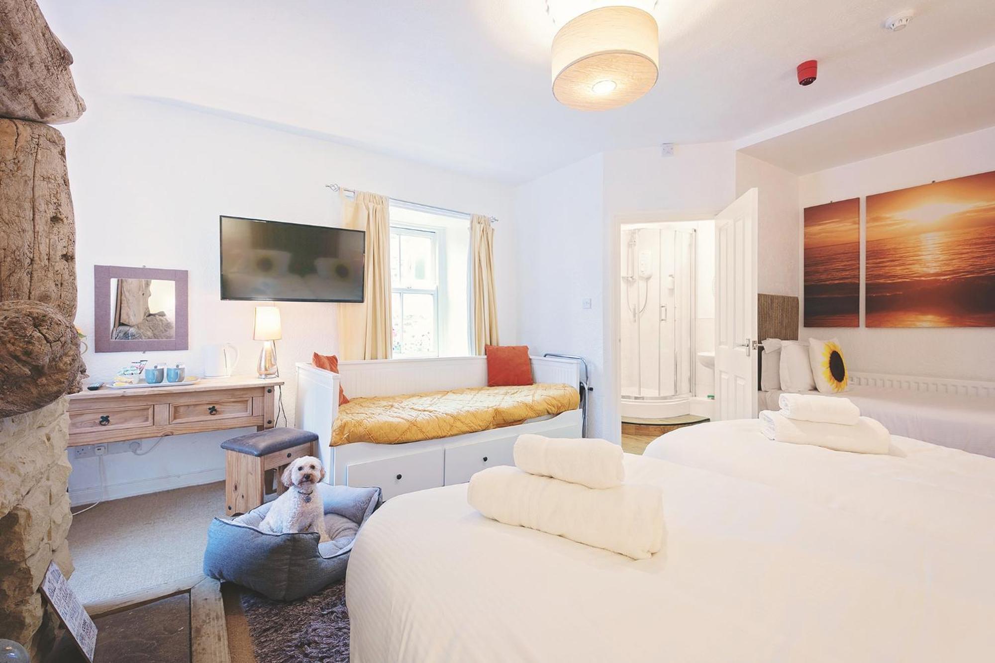 The Sun Rooms Alnmouth Room photo